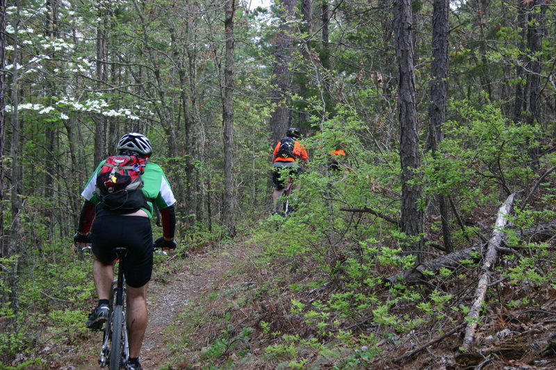 Featured Ride: Womble Trail, an IMBA Epic