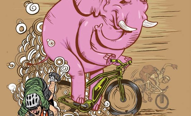 Elephant In The Room: The Great E-Bike Controversy