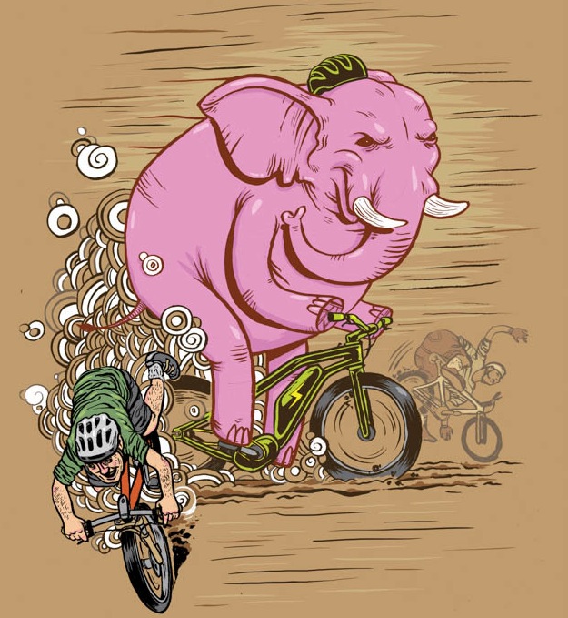 Elephant In The Room: The Great E-Bike Controversy