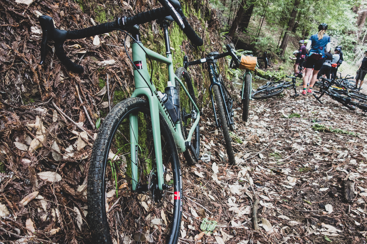 Big Basin by Bike