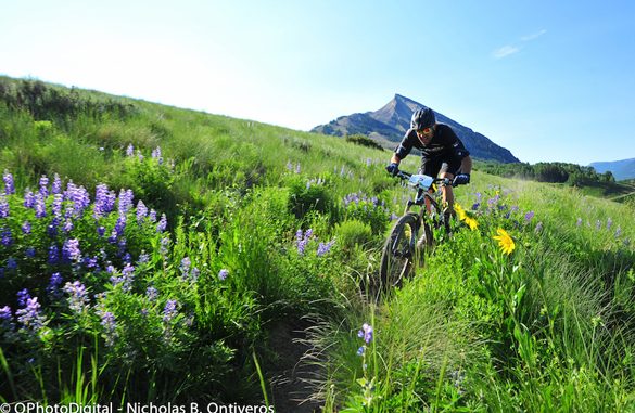 Big Mountain Enduro to feature 5-day backcountry enduro in 2014