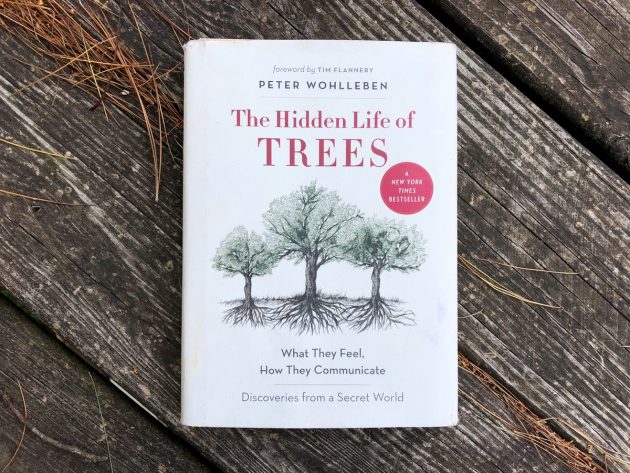 Recommendo: The Hidden Life of Trees