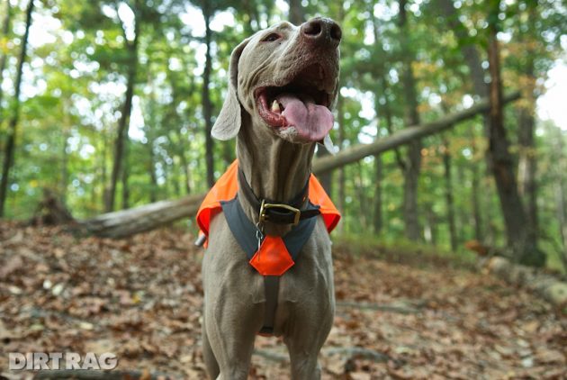 Ruffwear new and updated 2018 dog winter apparel and gear