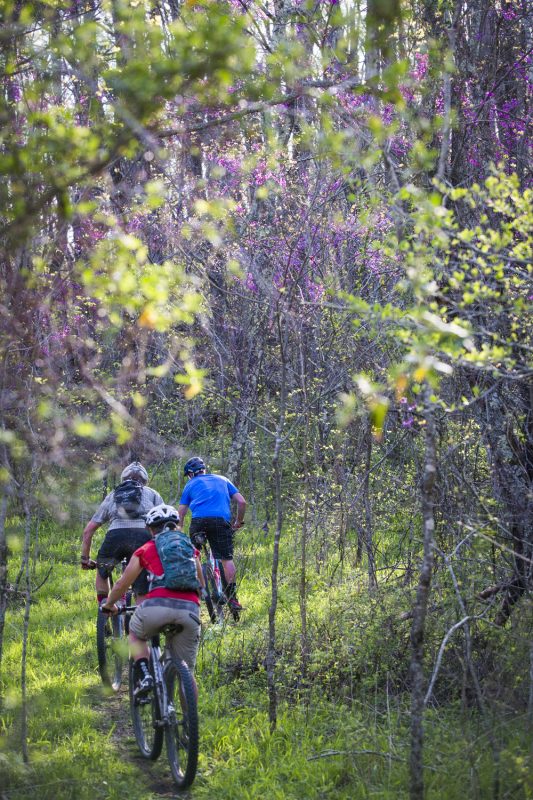 Photo: MTB Project/Leslie Kehmeier