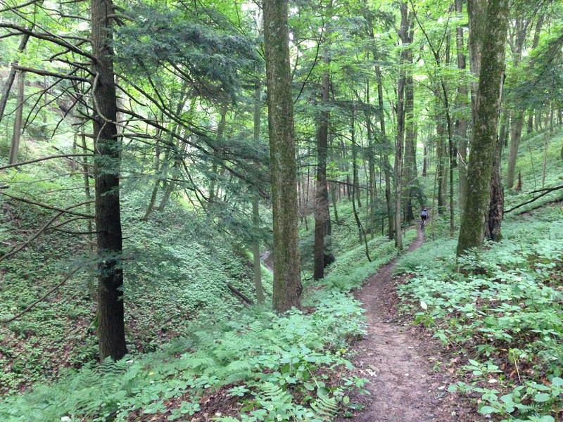 Featured Ride: Mohican State Park MTB Trail near Loudonville, Ohio