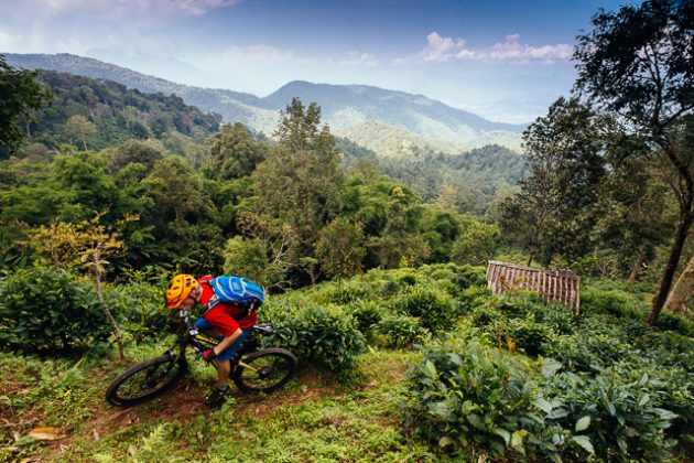 Jungle Mountain Biking Thailand Pine Forest Descent