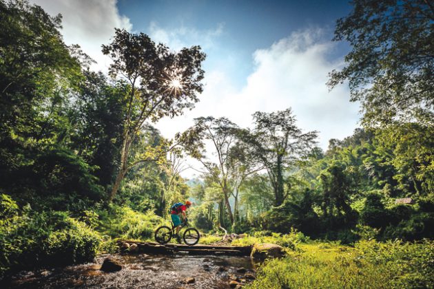 Andrew Whiteford rides single track in the higher altitude jungle near Ban Sop Gai, Thailand.