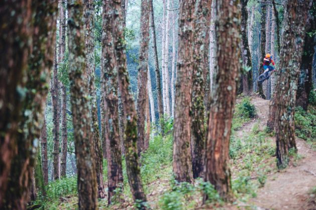 Jungle Mountain Biking Thailand Pine Forest Descent