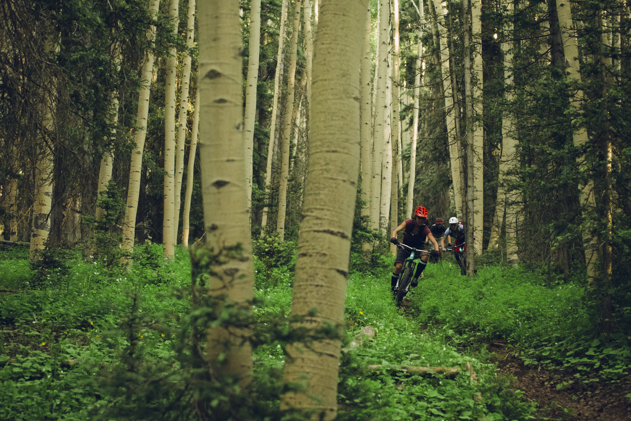 SRAM Stories: One of many – Colorado trail reunion