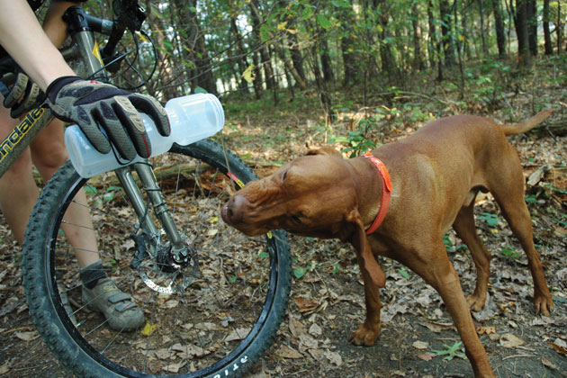Blast From the Past: Singletrack Hounds