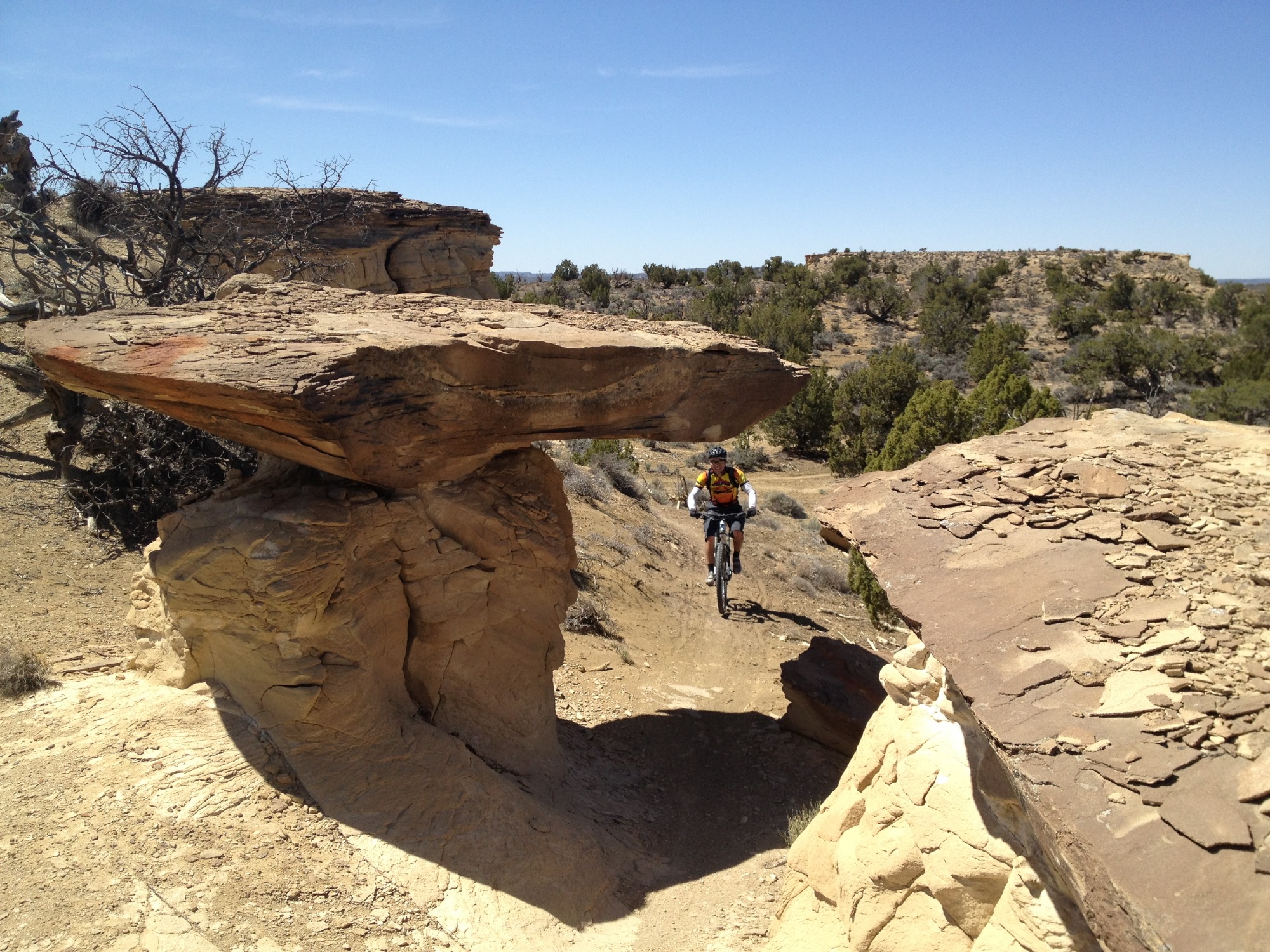 Featured Ride: High Desert Trail System, New Mexico