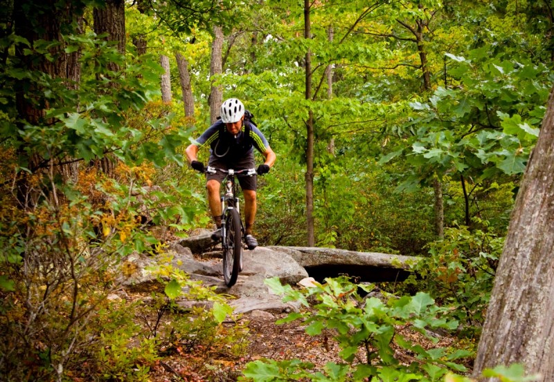 IMBA Epic in Rothrock State Forest, Pennsylvania. 