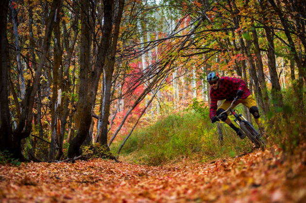 Fall Riding in Park City, Utah will turn your gears!