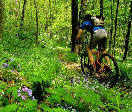 Featured Ride: Jackson Run/Archers Fork, Ohio