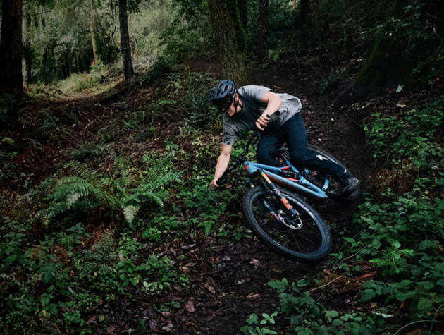 Watch: The All-New Specialized Stumpjumper