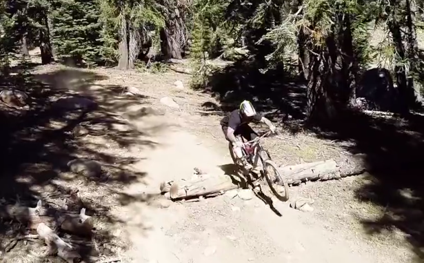 Video: Shaun Palmer rides again