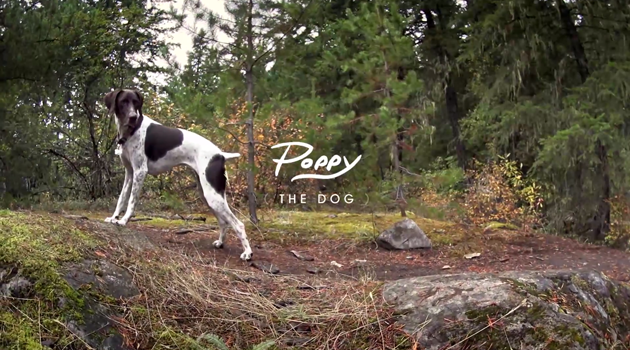 Teaser: Casey Brown and Poppy the Dog